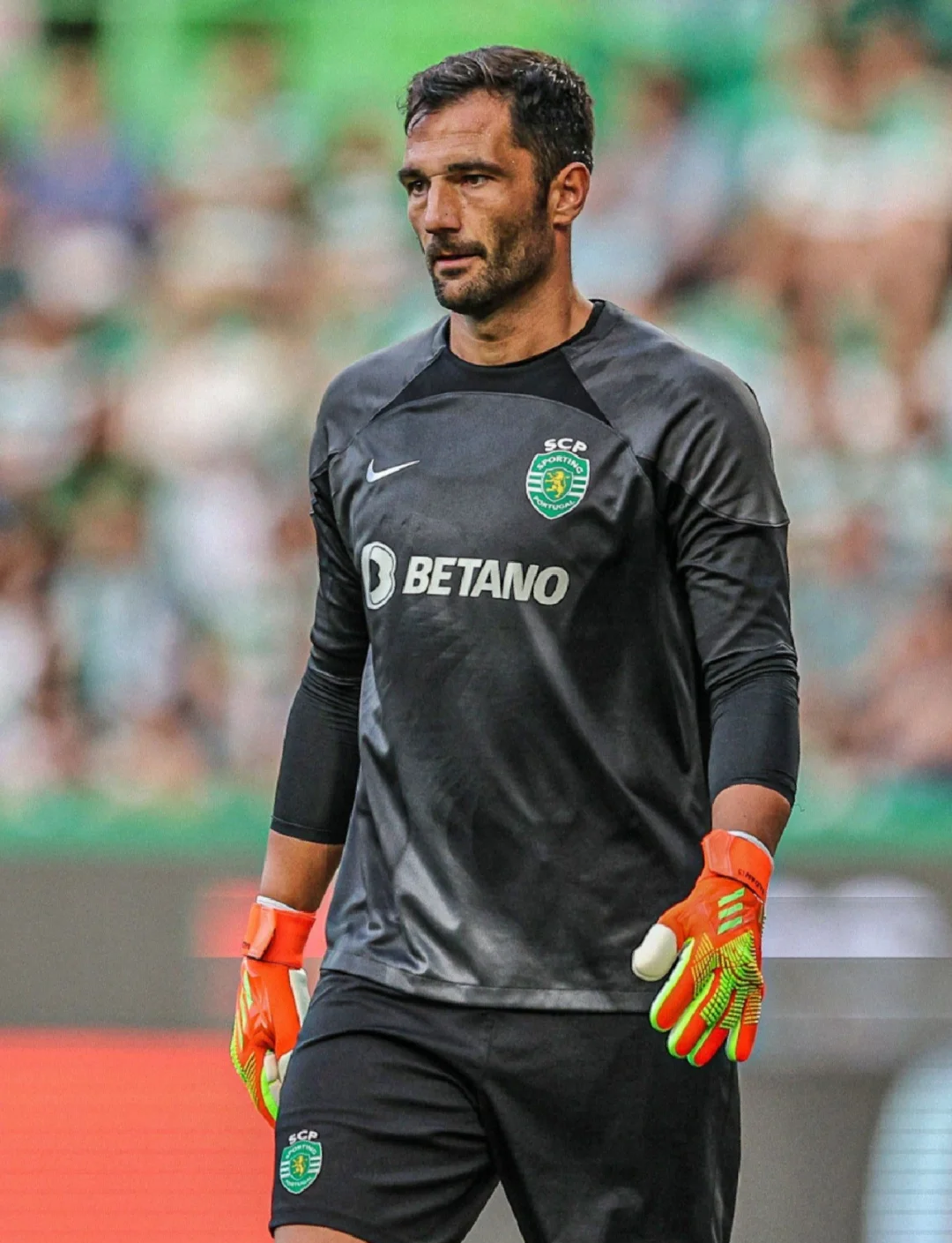 九游体育app-赛地聚焦——葡超清晨热度飙升，费城76人主帅复盘，更衣室稳定，资深球员宣示担当的简单介绍